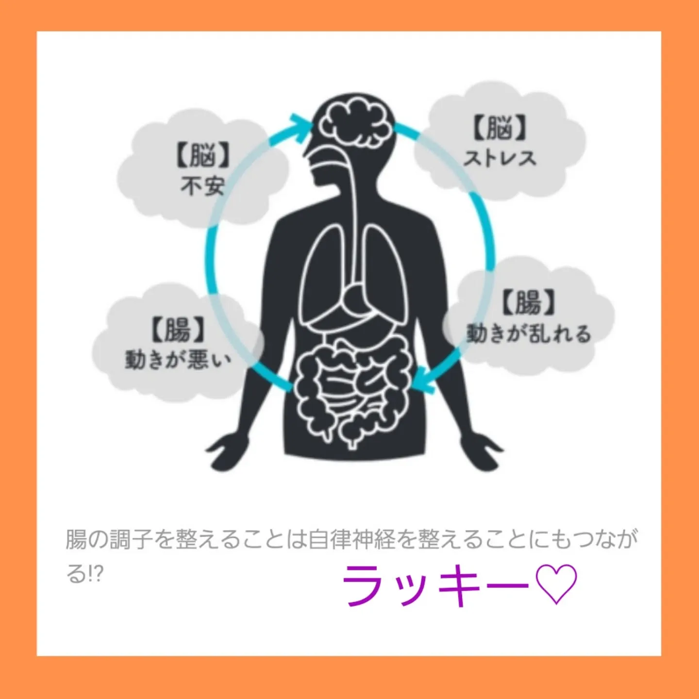 ドライヘッド+腸リンパマッサージ