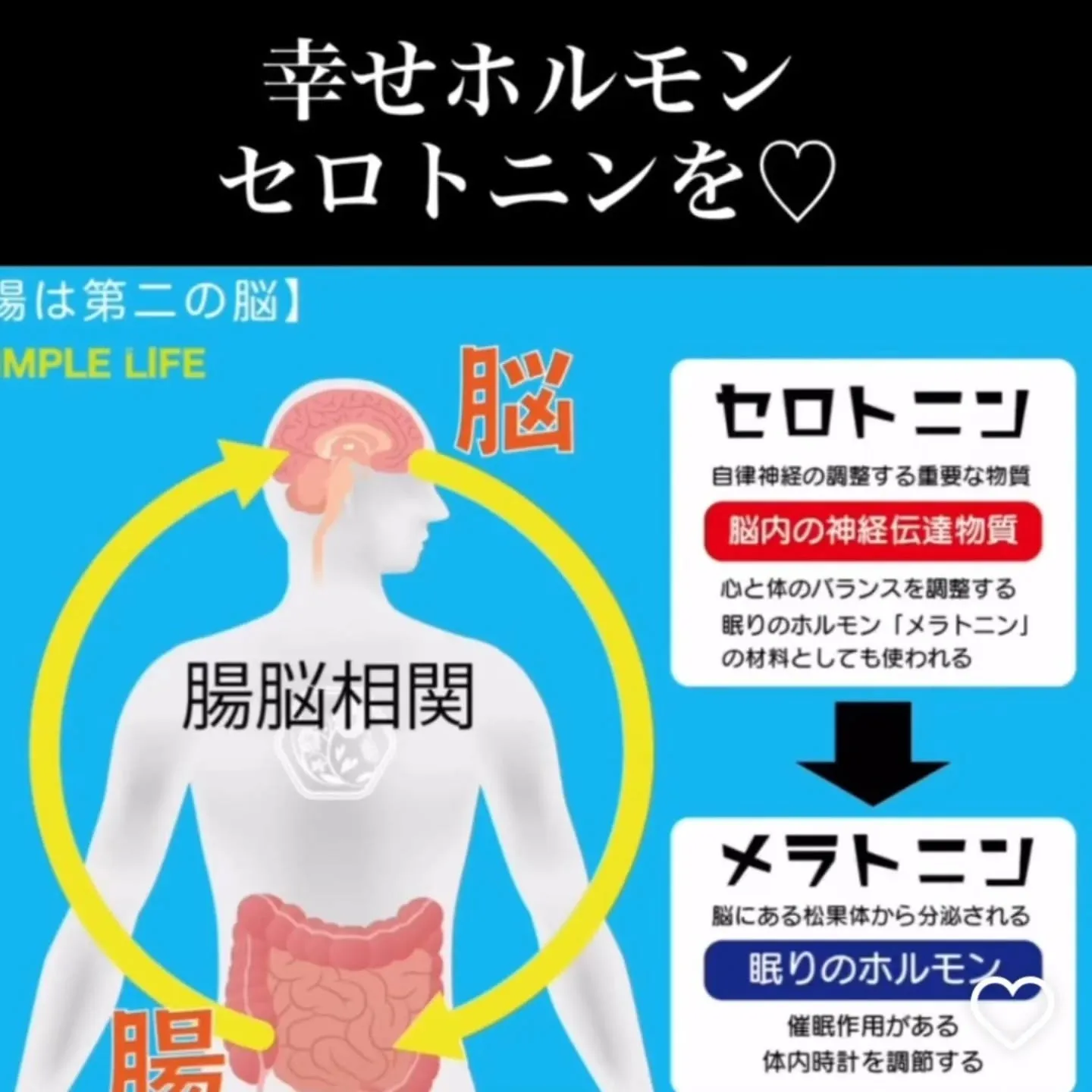 春から梅雨にかけて