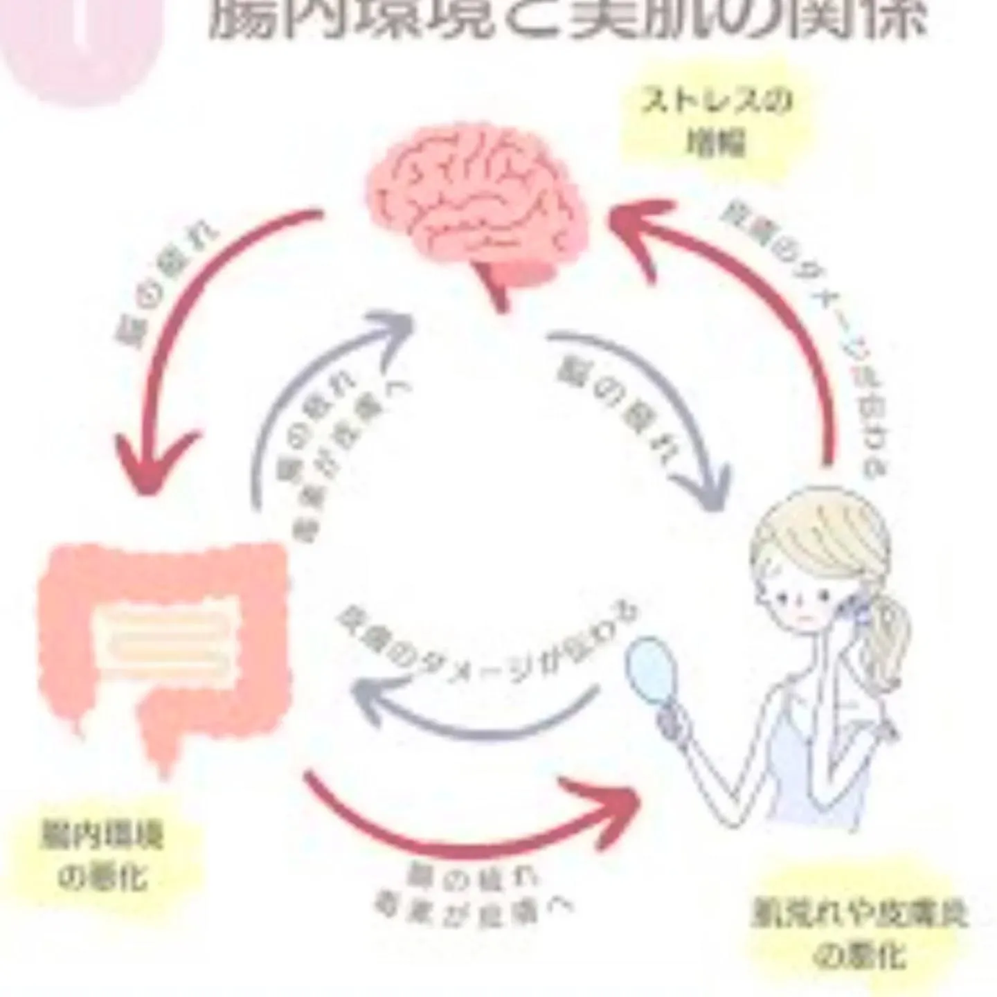 内面からのキレイと健康を目指しませんか😊