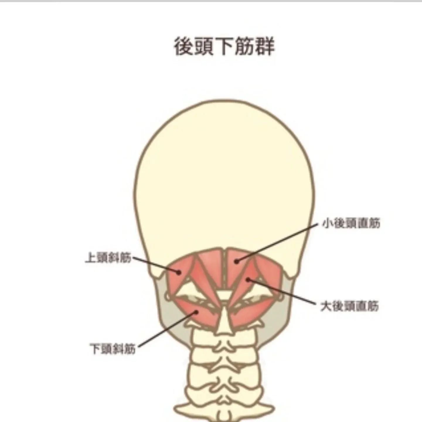 朝、夕、昼間の寒暖差