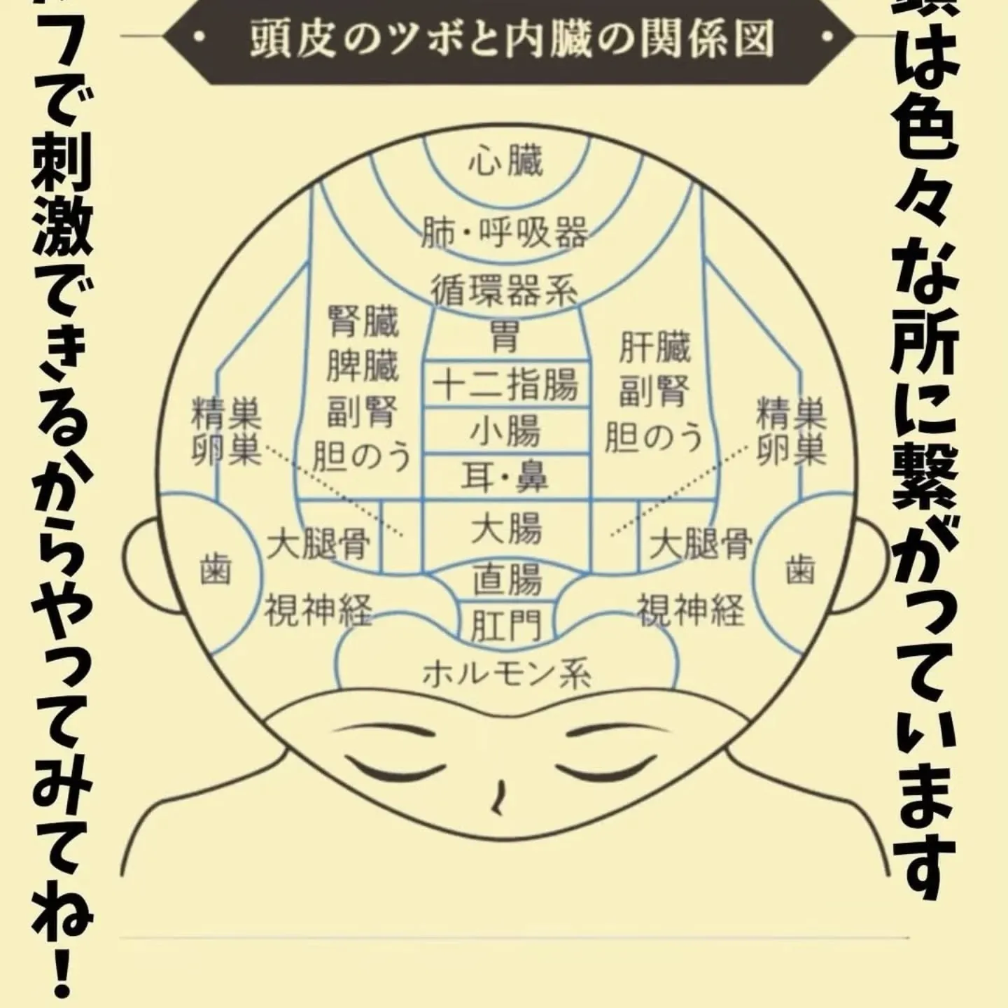 朝、夕、昼間の寒暖差