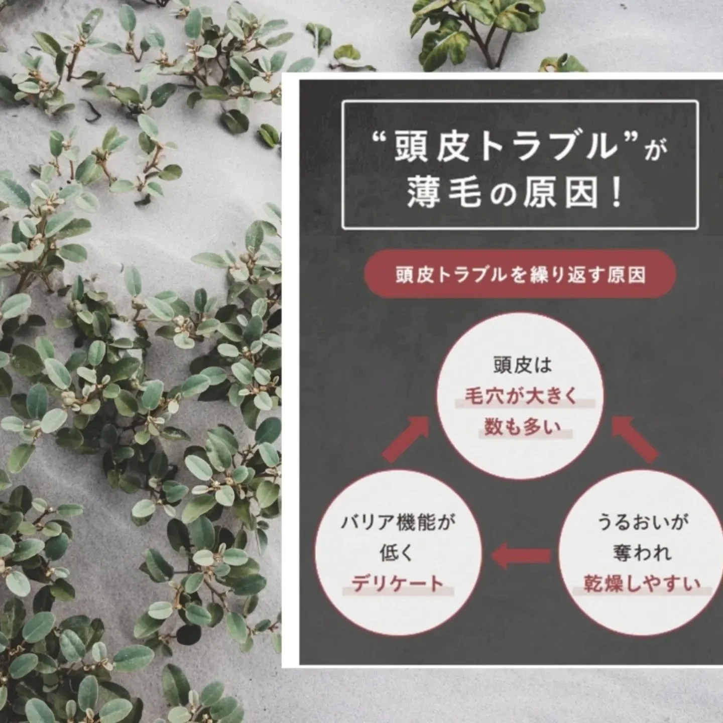 発育毛のお客様😊