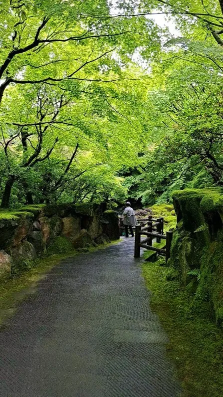 一週間お疲れ様です